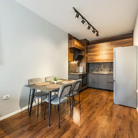 Vista Luxe Balcony With Free Private Parking 티라나
